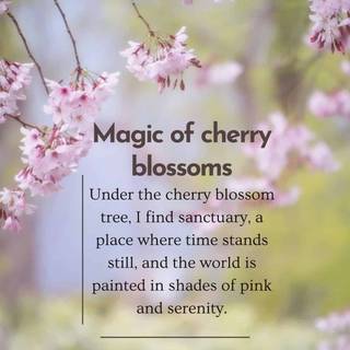 Cherry Blossom aesthetic sad quote wallpaper