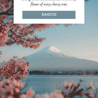 Cherry Blossom aesthetic sad quote wallpaper