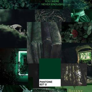 Green Slytherin wallpaper