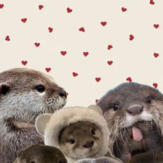 Kawaii otter wallpaper