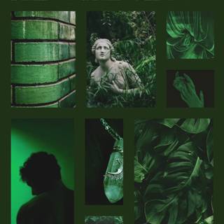 Green Slytherin wallpaper