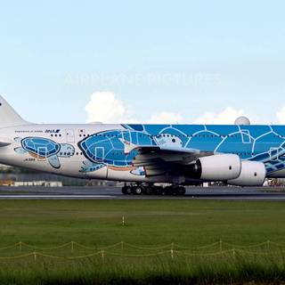 ANA A380 wallpaper