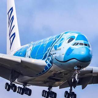 ANA A380 wallpaper
