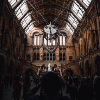 Museum aesthetic wallpaper