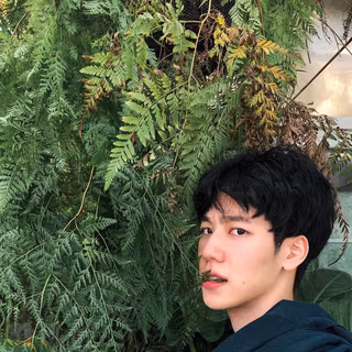 War Wanarat wallpaper