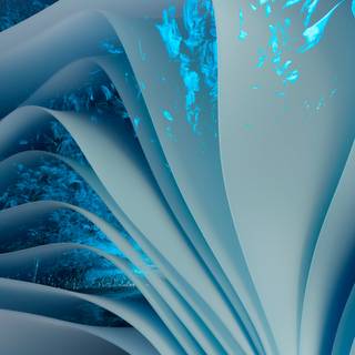 Windows 11 minimalist wallpaper