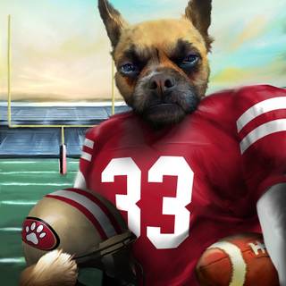 Football dog wallpaper