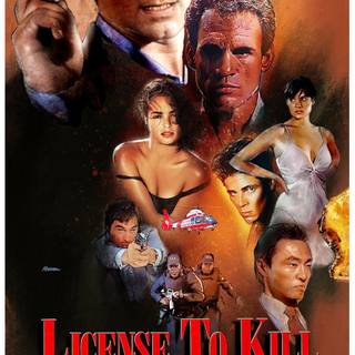 Licence To Kill wallpaper