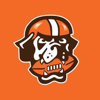 Football dog wallpaper