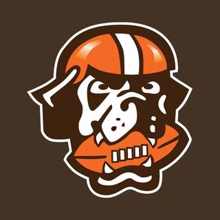 Football dog wallpaper