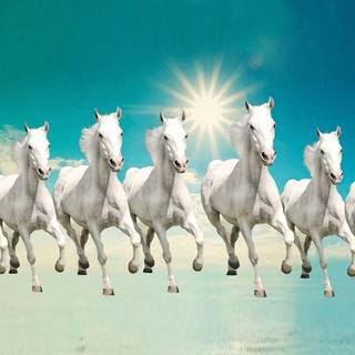7 Running Horses wallpaper