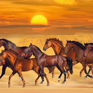 7 Running Horses wallpaper