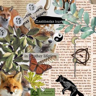 Therian red fox wallpaper