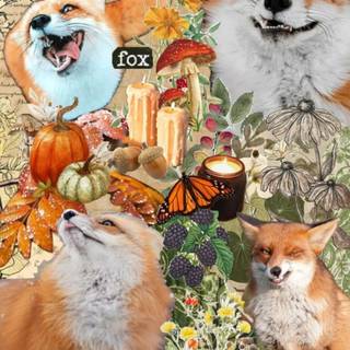 Therian red fox wallpaper