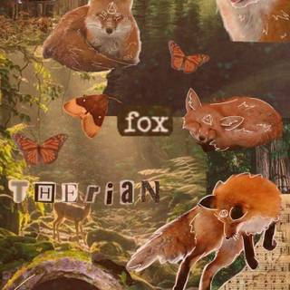Therian red fox wallpaper