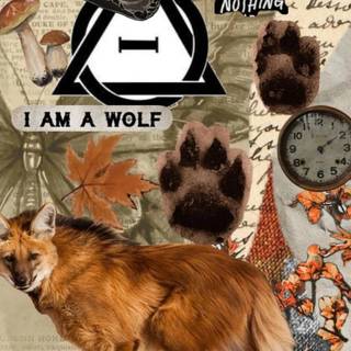 Therian red fox wallpaper