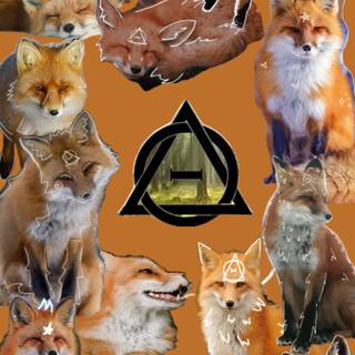 Therian red fox wallpaper