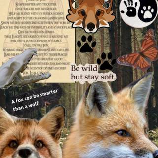 Therian red fox wallpaper