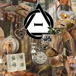 Therian red fox wallpaper