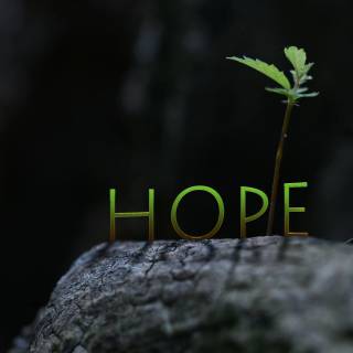Written hope wallpaper
