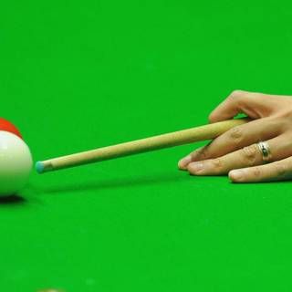 Snooker players wallpaper
