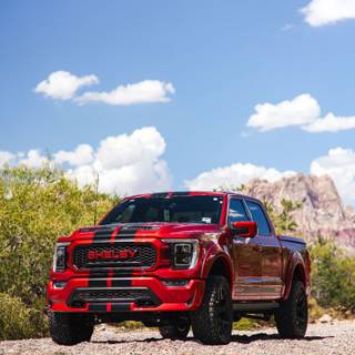 Shelby F-150 wallpaper