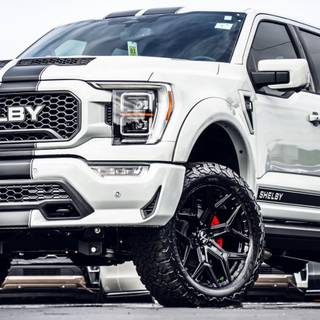 Shelby F-150 wallpaper
