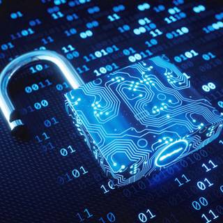 Vulnerability wallpaper