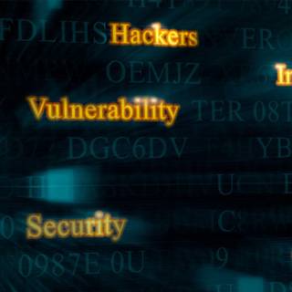 Vulnerability wallpaper