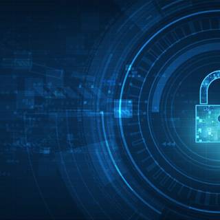 Vulnerability wallpaper