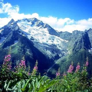 Russia nature wallpaper