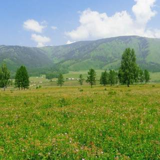 Russia nature wallpaper