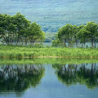 Russia nature wallpaper