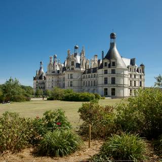 Chambord wallpaper