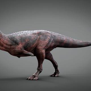 Majungasaurus wallpaper