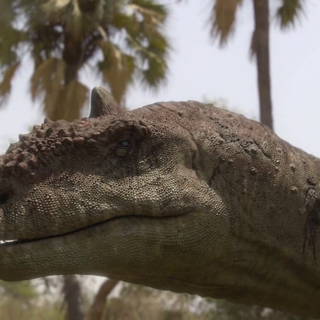 Majungasaurus wallpaper