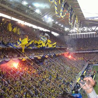 Şükrü Saracoğlu Stadium wallpaper