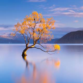 4k nature scenery wallpaper