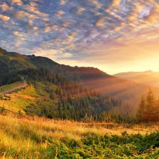 4k nature scenery wallpaper