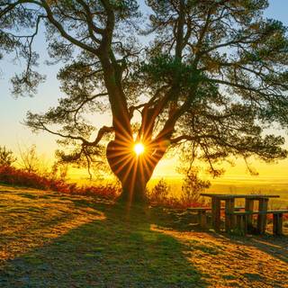 4k nature scenery wallpaper