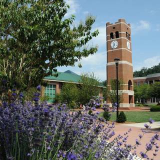 Western Carolina University wallpaper