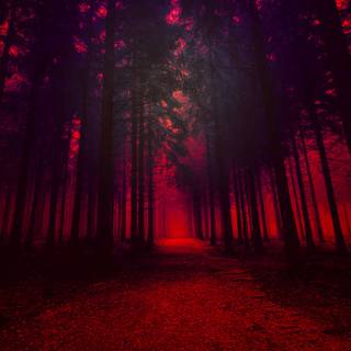 2560x1440 red wallpaper