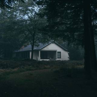 Forest hut wallpaper