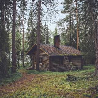 Forest hut wallpaper