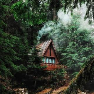 Forest hut wallpaper
