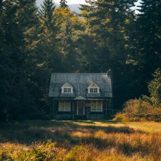 Forest hut wallpaper