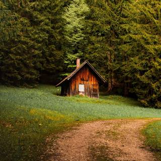 Forest hut wallpaper