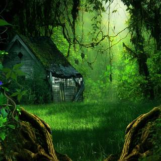 Forest hut wallpaper
