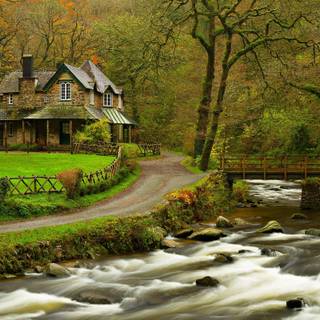 Forest hut wallpaper