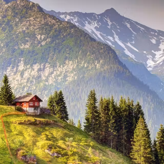 Forest hut wallpaper